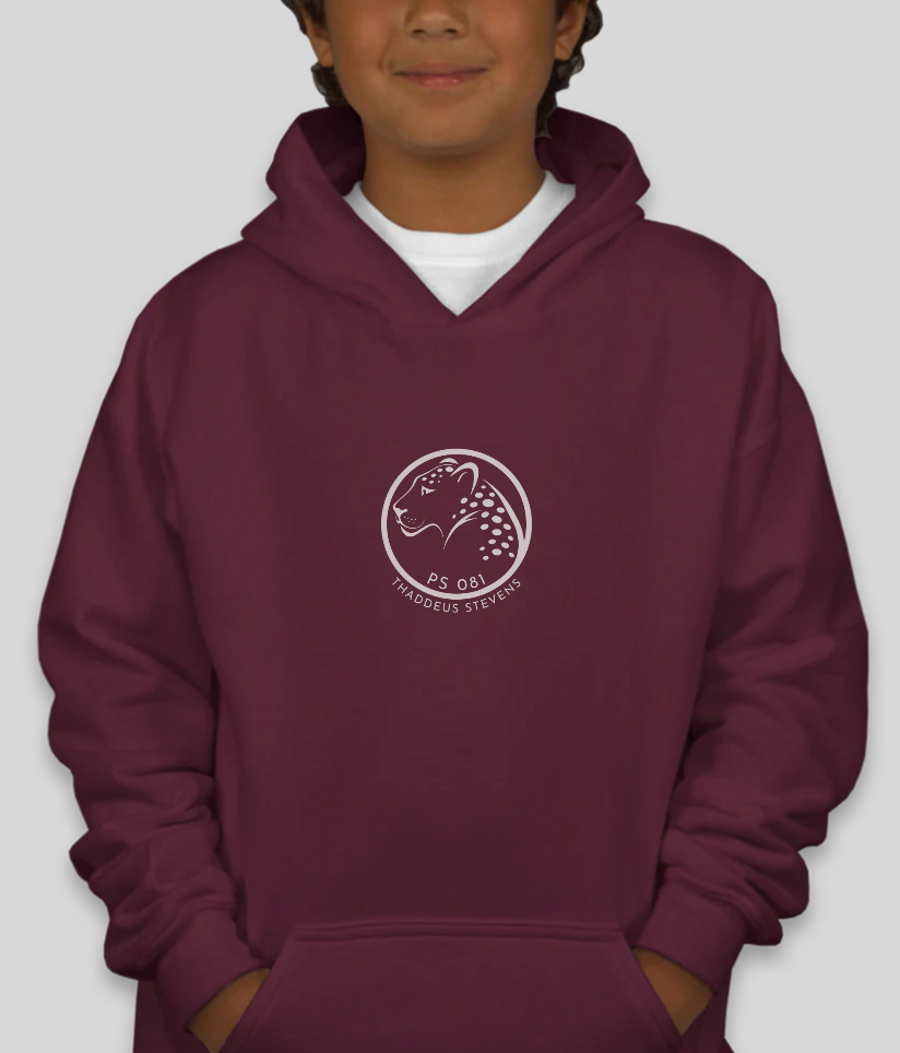 100 Youth Hoodies- PS 81