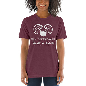 Soft Tri-Blend Tee- Its A Good Day to Wear a Mask